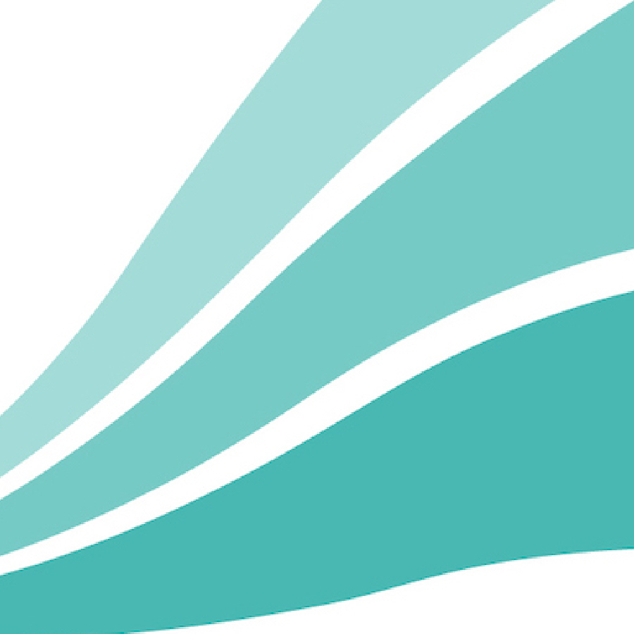 The Alliance For Just Money Logo